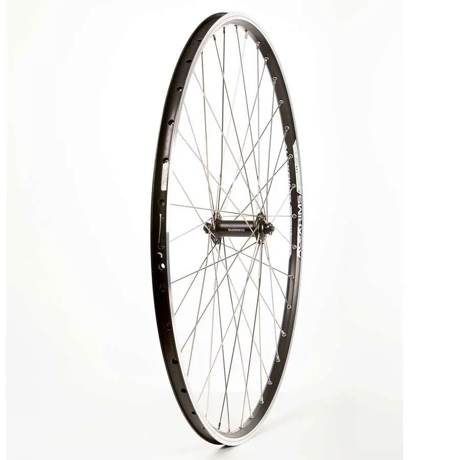 Alex Rims Front Wheel 29” Ace19 1