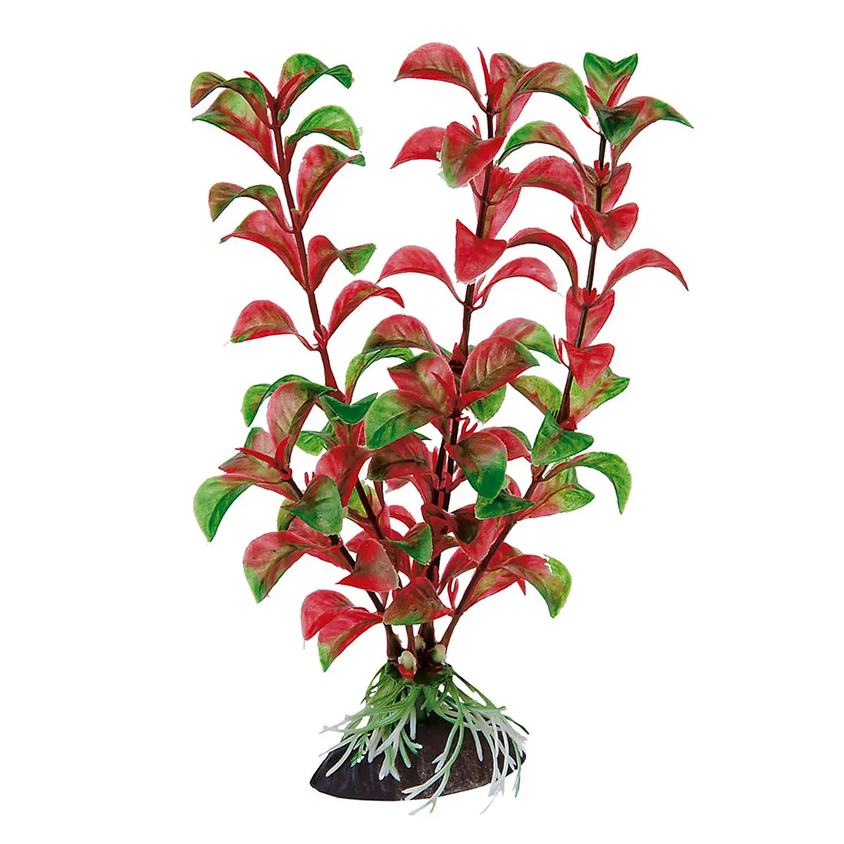 Blu 9059 - Rotala 1