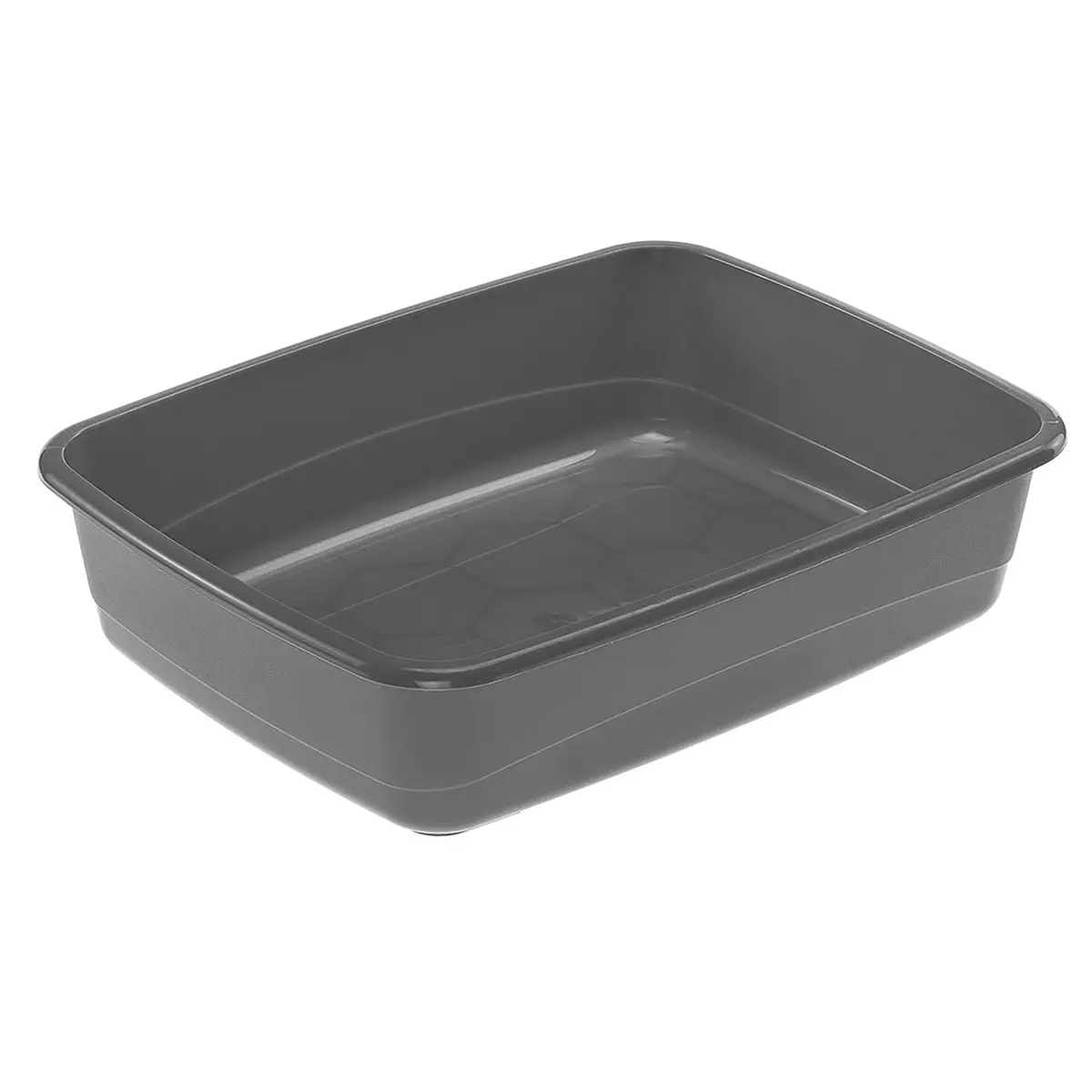 Boden Clear Cat 1