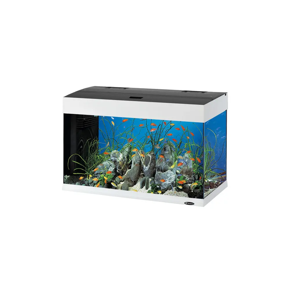 Dubai 80 Led - 125 L 1
