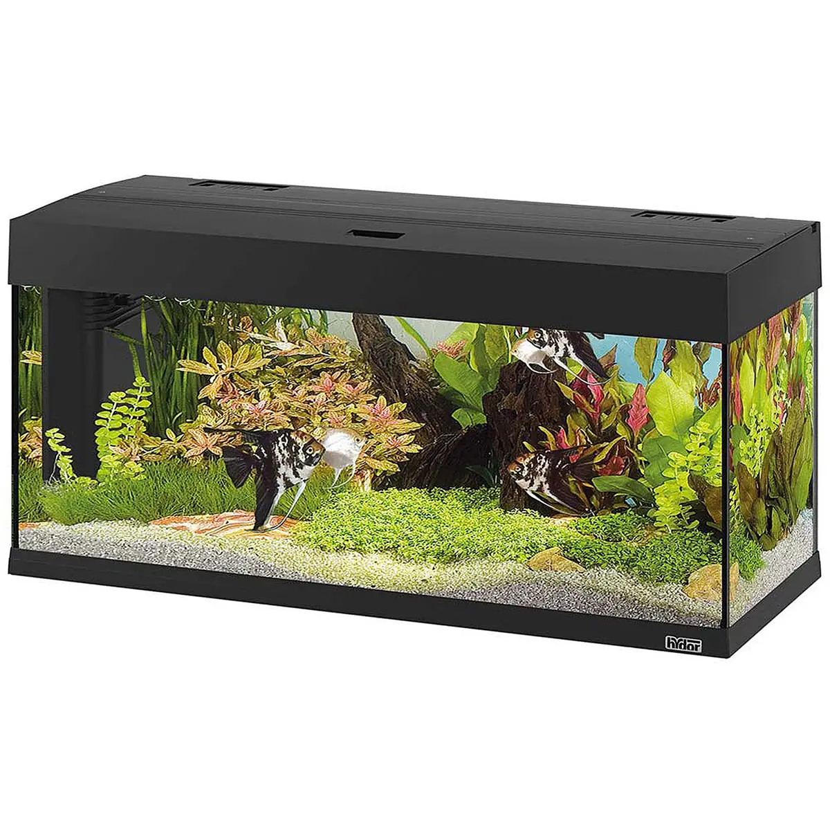 Dubai 100 Led - 190 L 1
