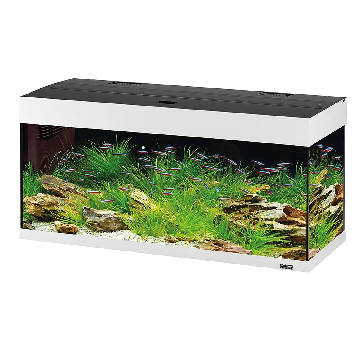 Dubai 120 Led - 240 L 1