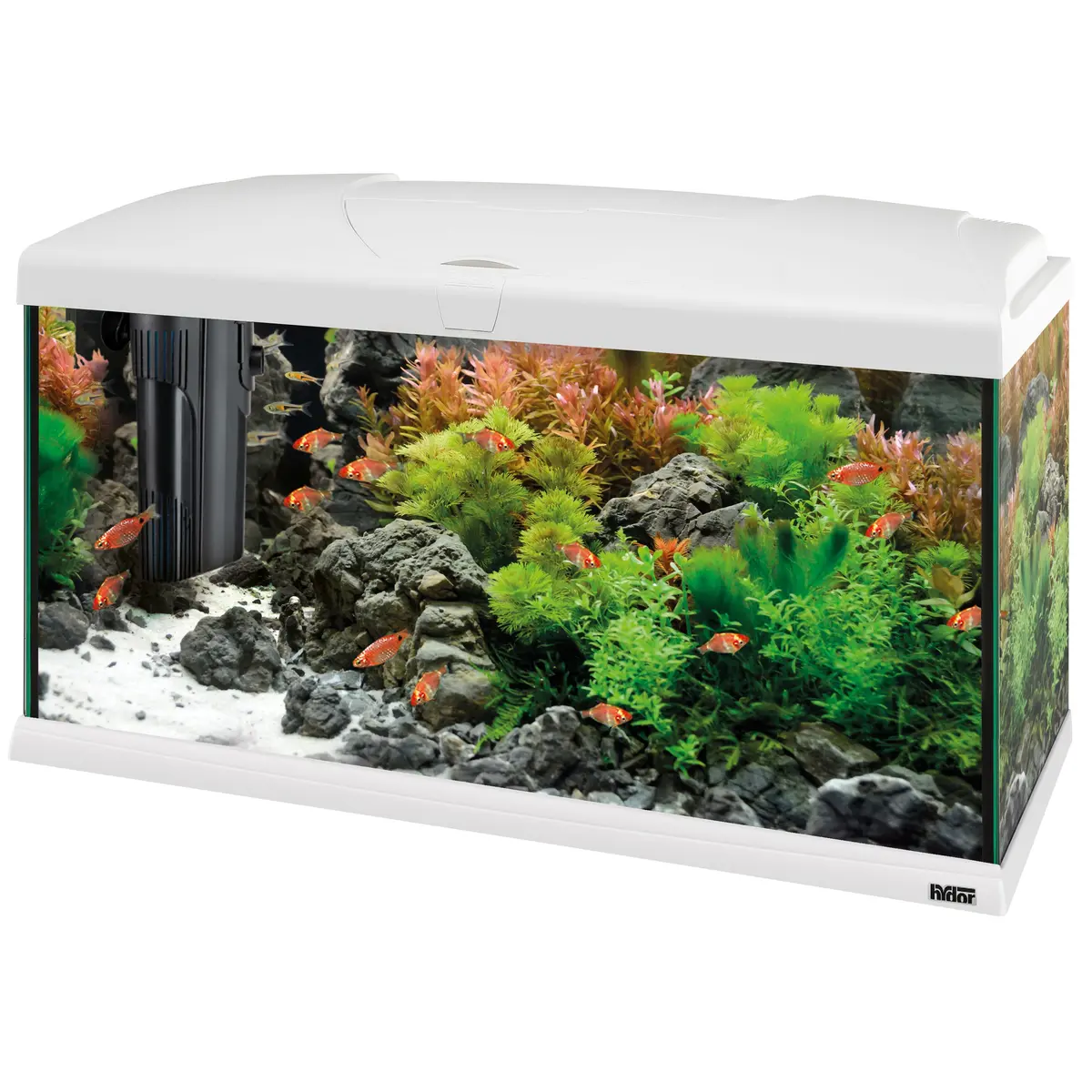 Capri 80 Led Plus - 100 L 1