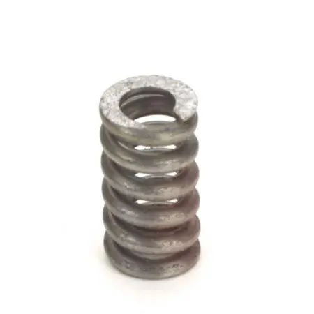 Team Associated Slipper Spring: B4/T4 1
