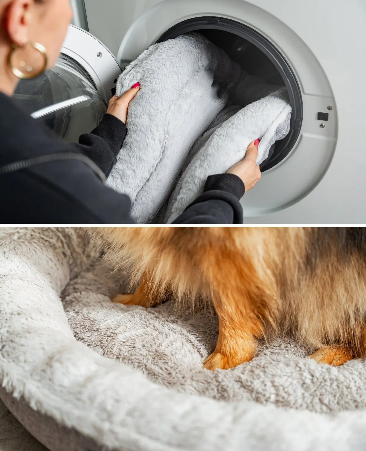 Rundes Heimtierbett, Personalisiert 4
