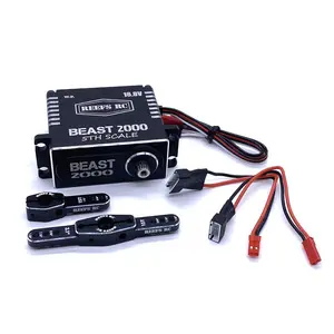 Reefs Rc Beast 2000 1/5 Large Scale Servo 1