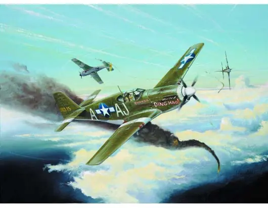 Trumpeter 1/32 P-51 B Mustang Model Kit 1