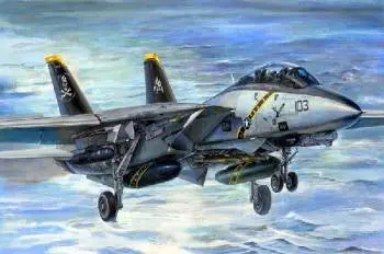 Trumpeter 1/32 F-14B Tomcat (Bombcat) Model 1