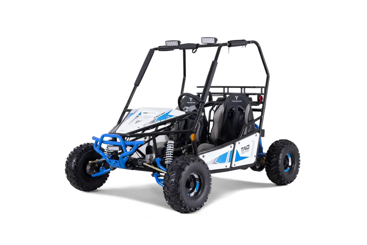Taomotors Triton 125Cc Go-Cart (Pdi/Freight Extra) 1