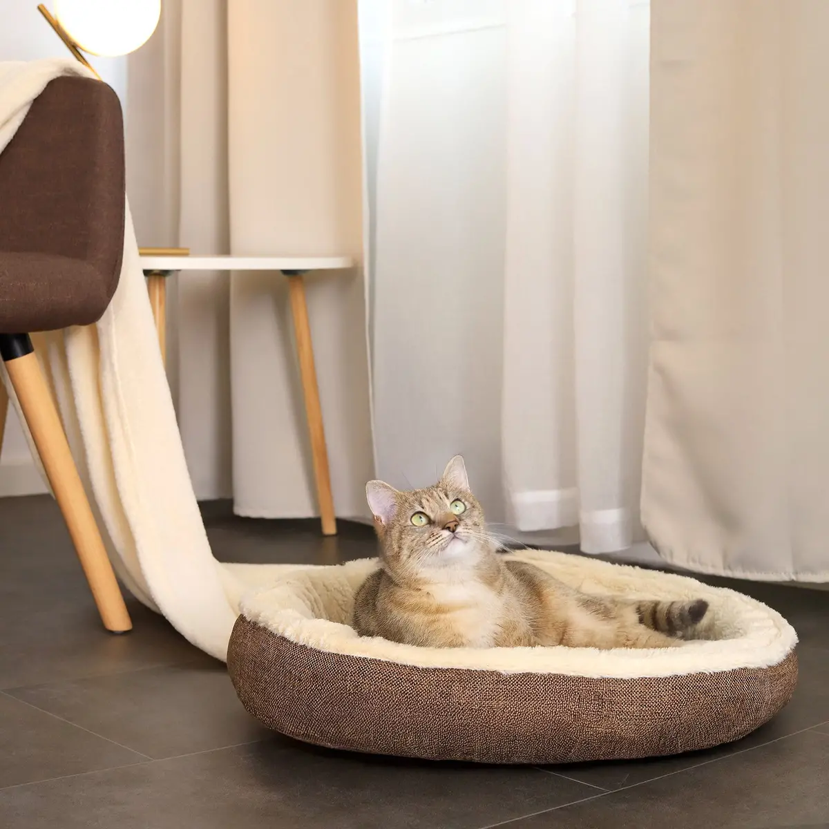 Katzenbett Mit Plüsch In Donutform 3