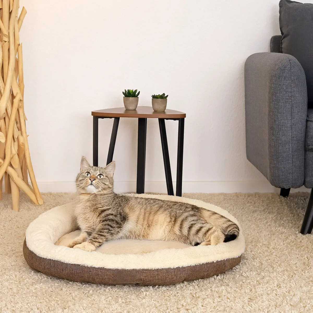 Katzenbett Mit Plüsch In Donutform 4