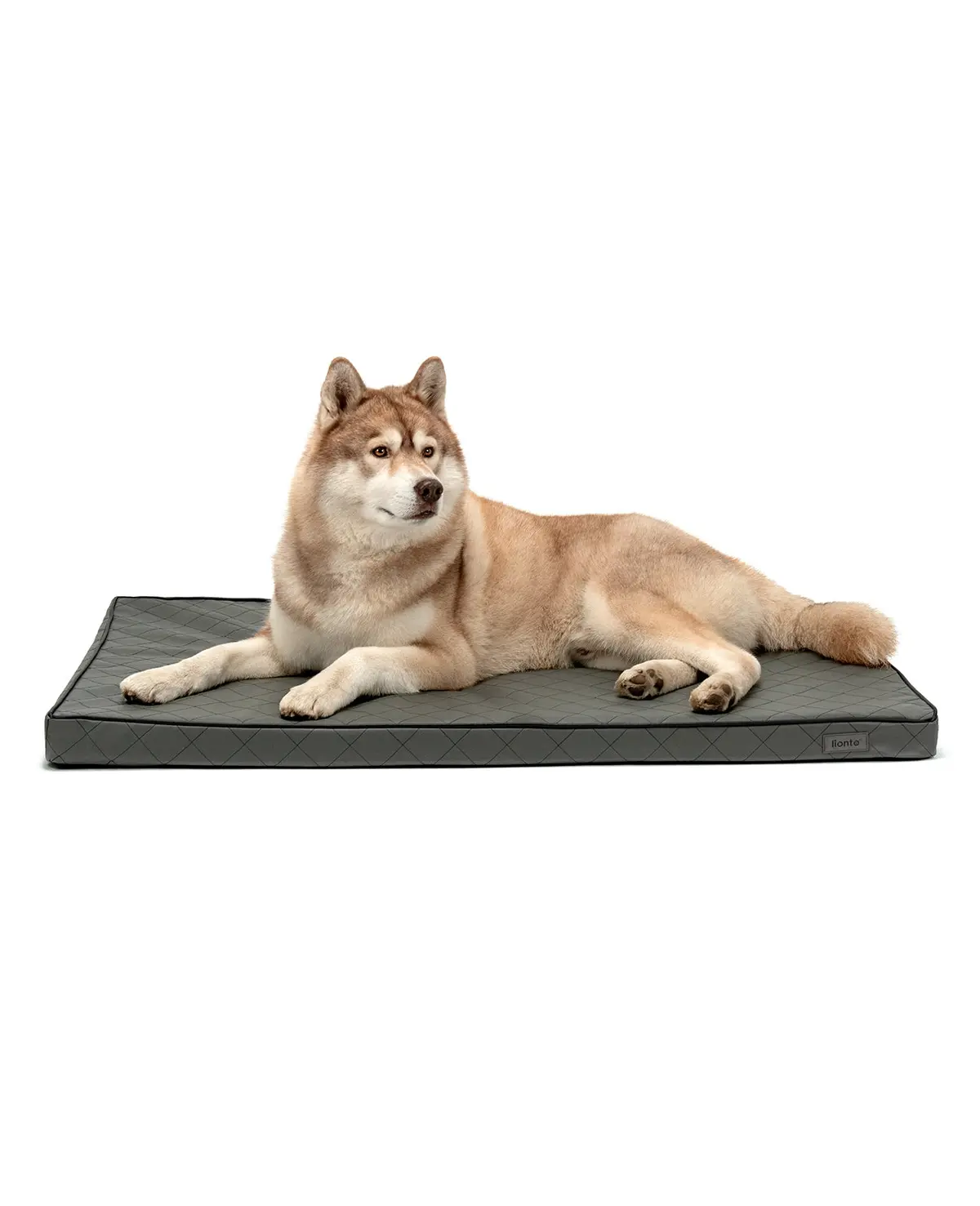 Orthopädische Hundematte 1