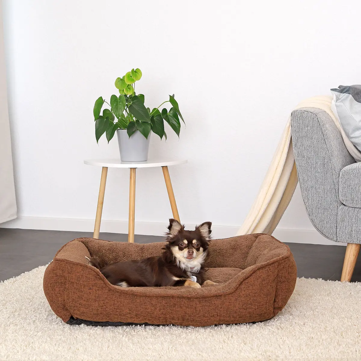 Meliertes Hundebett Mit Abnehmbarem Bezug 1