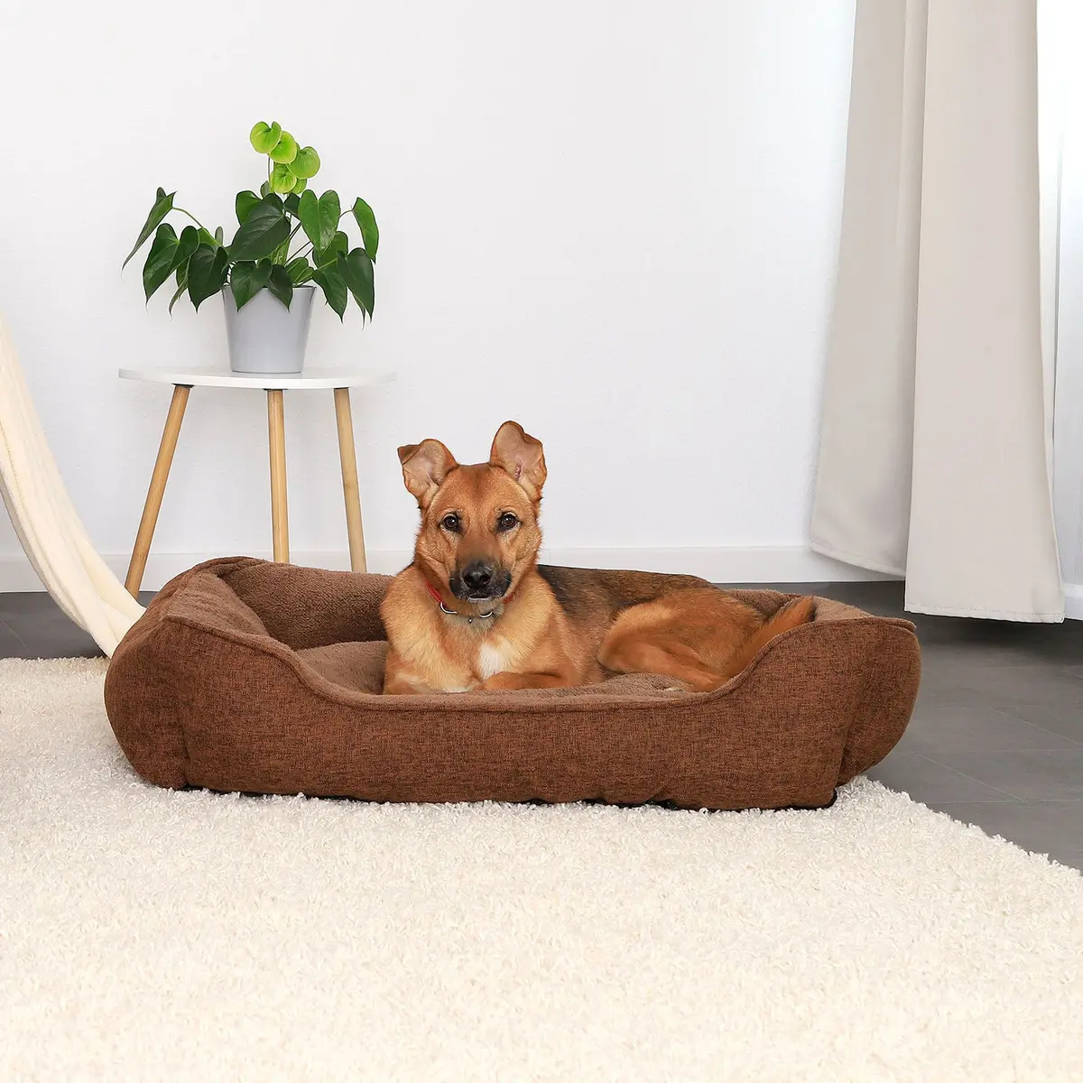 Meliertes Hundebett Mit Abnehmbarem Bezug 2