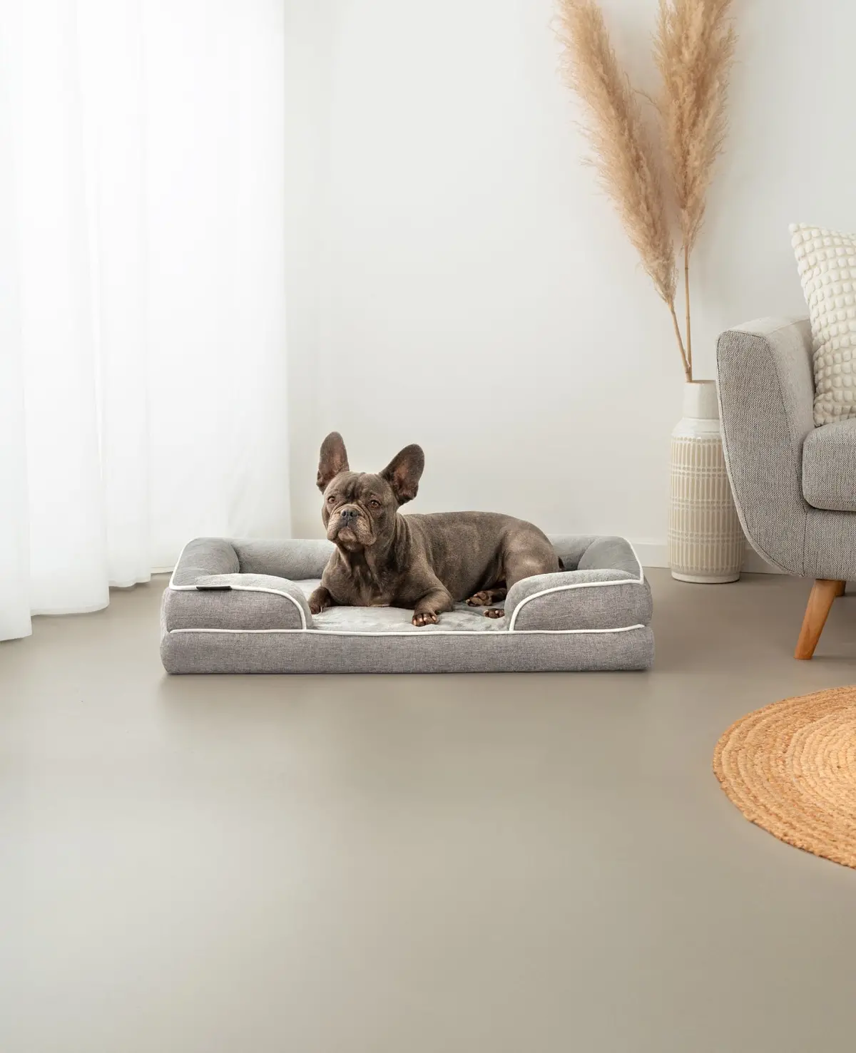 Orthopädisches Hundebett Mit Erhöhtem Rand, Rutschfest 2