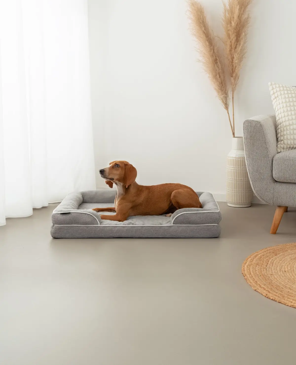Orthopädisches Hundebett Mit Erhöhtem Rand, Rutschfest 2