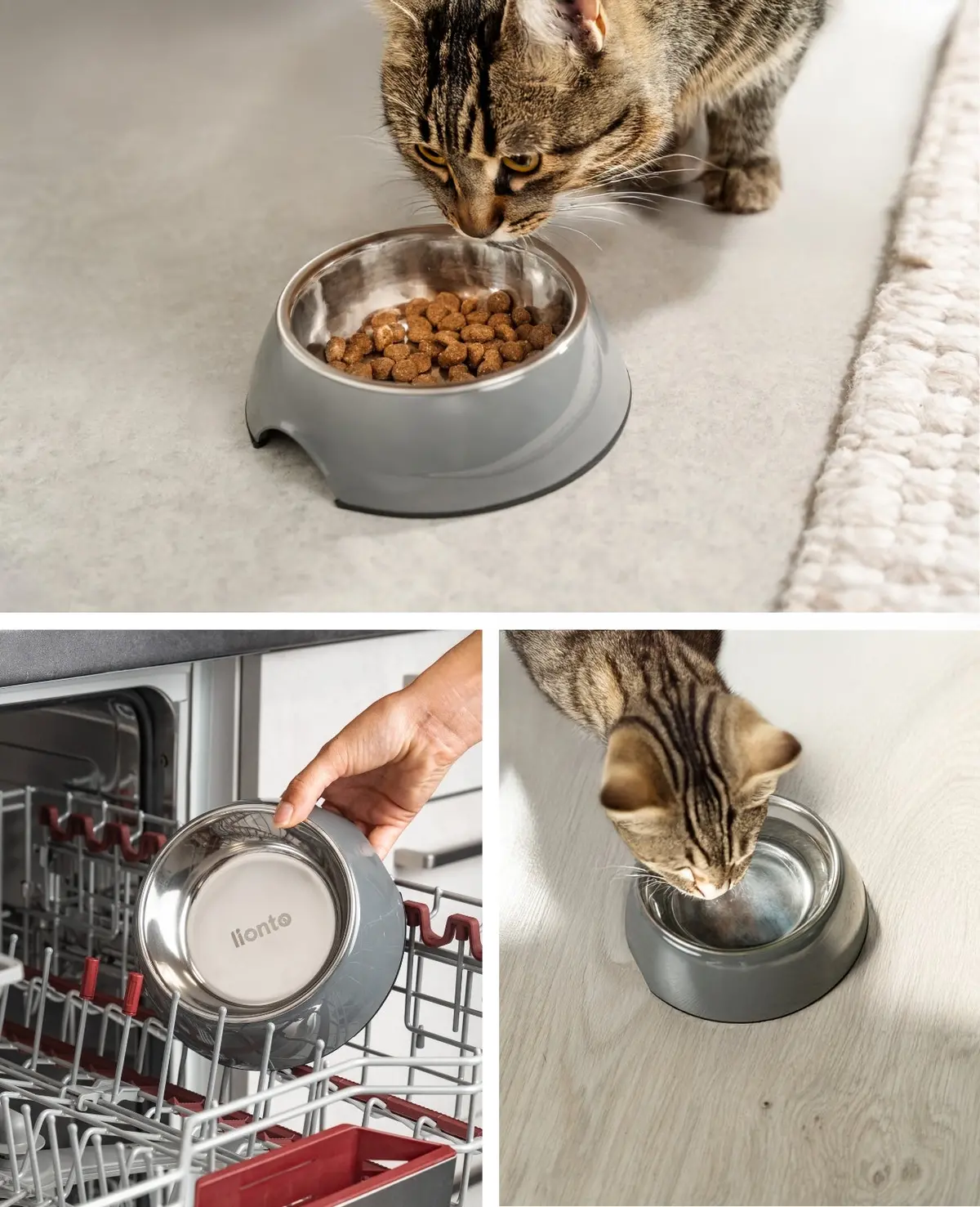 Katzennapf Aus Melamin 3