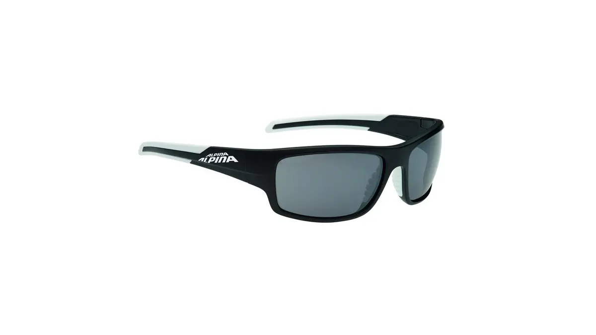 Alpina Testido Fahrradbrille 1