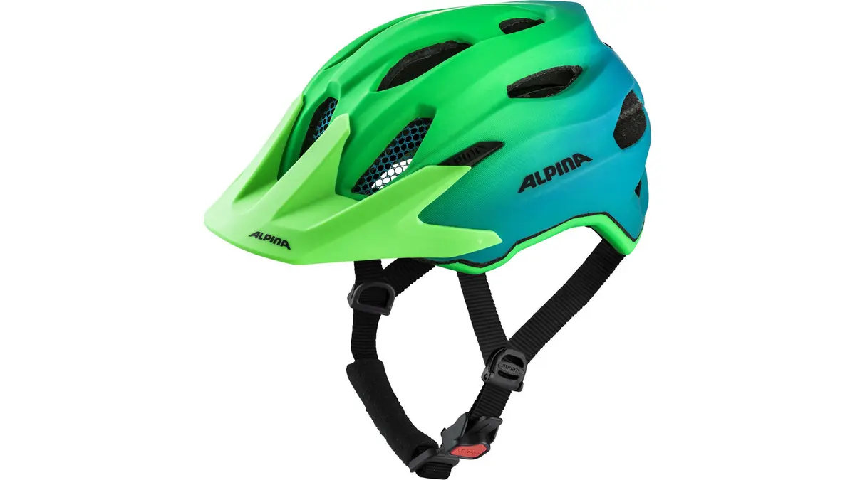 Alpina Carapax Jr. Flash 1