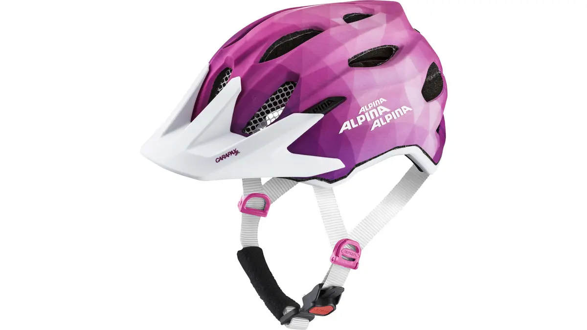 Alpina Carapax Jr. Flash 2