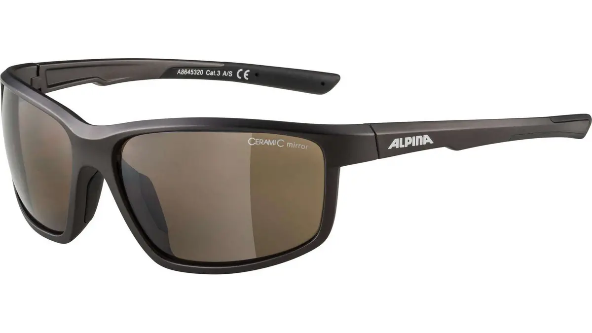 Alpina Defey Fahrradbrille 1