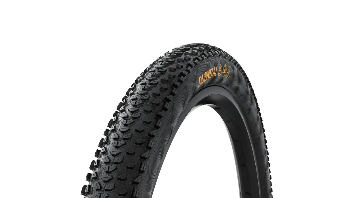 Conti Dubnital Race Rapid 29" 1