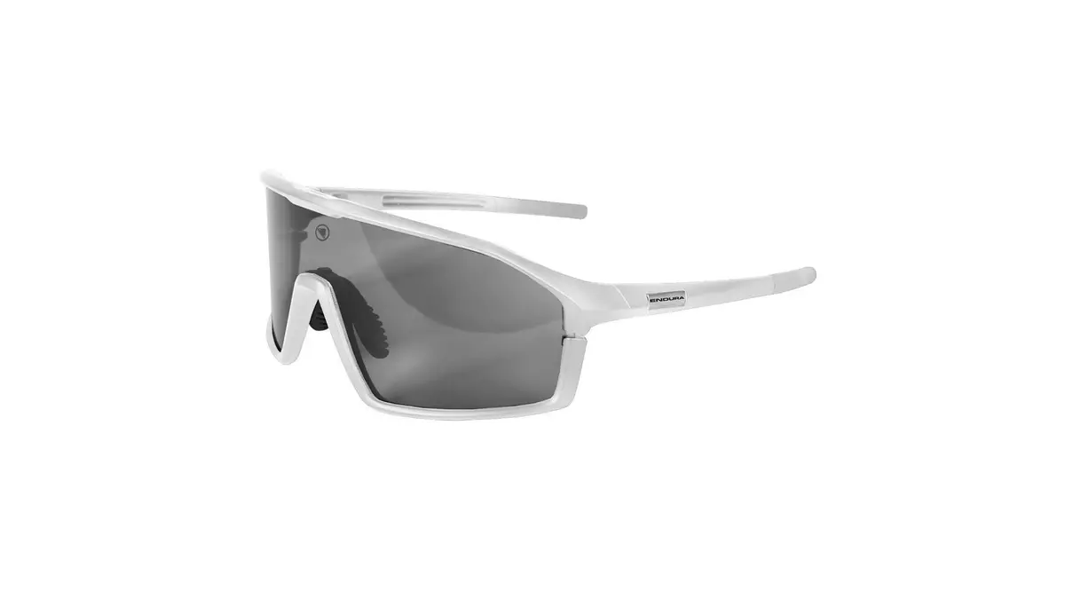 Endura Gabbro Glasses Ii 1