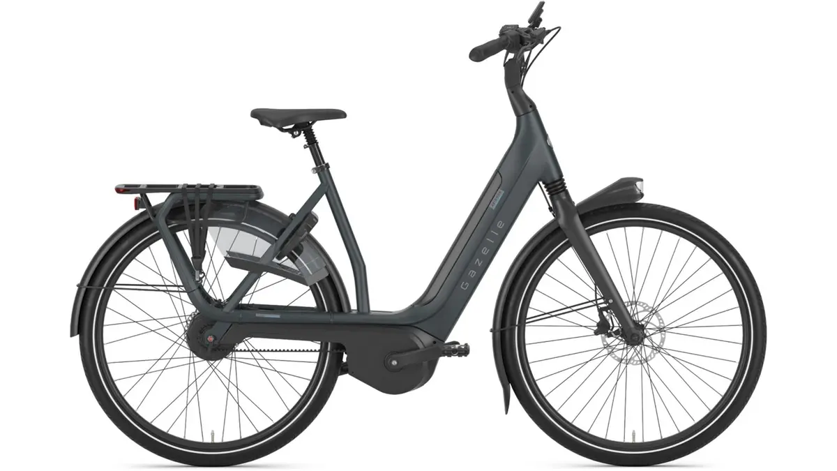 Gazelle Avignon C380 Hmb Platin 1