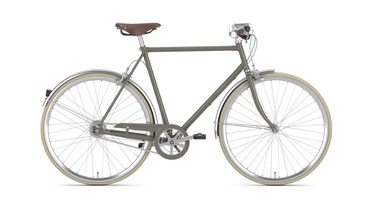 Gazelle Van Stael V7 1