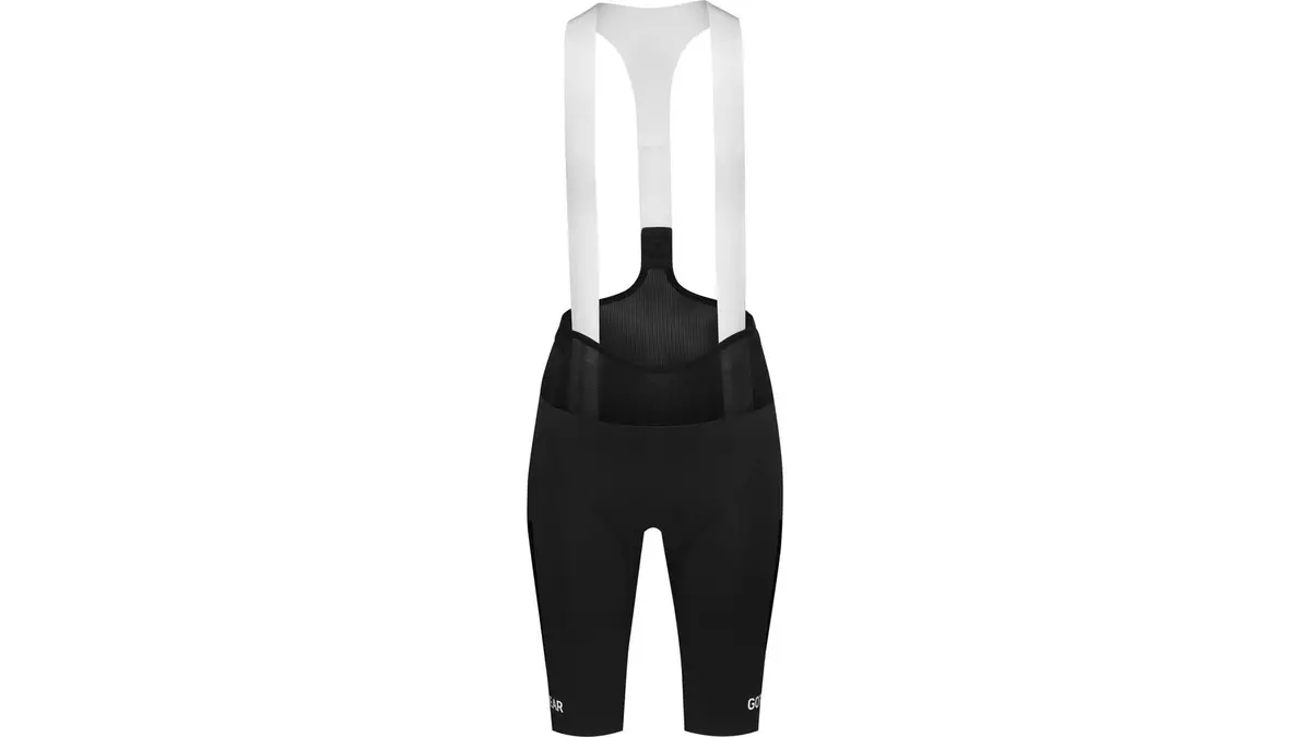 Gore Spinshift Cargo Kurze Trägerhose 1