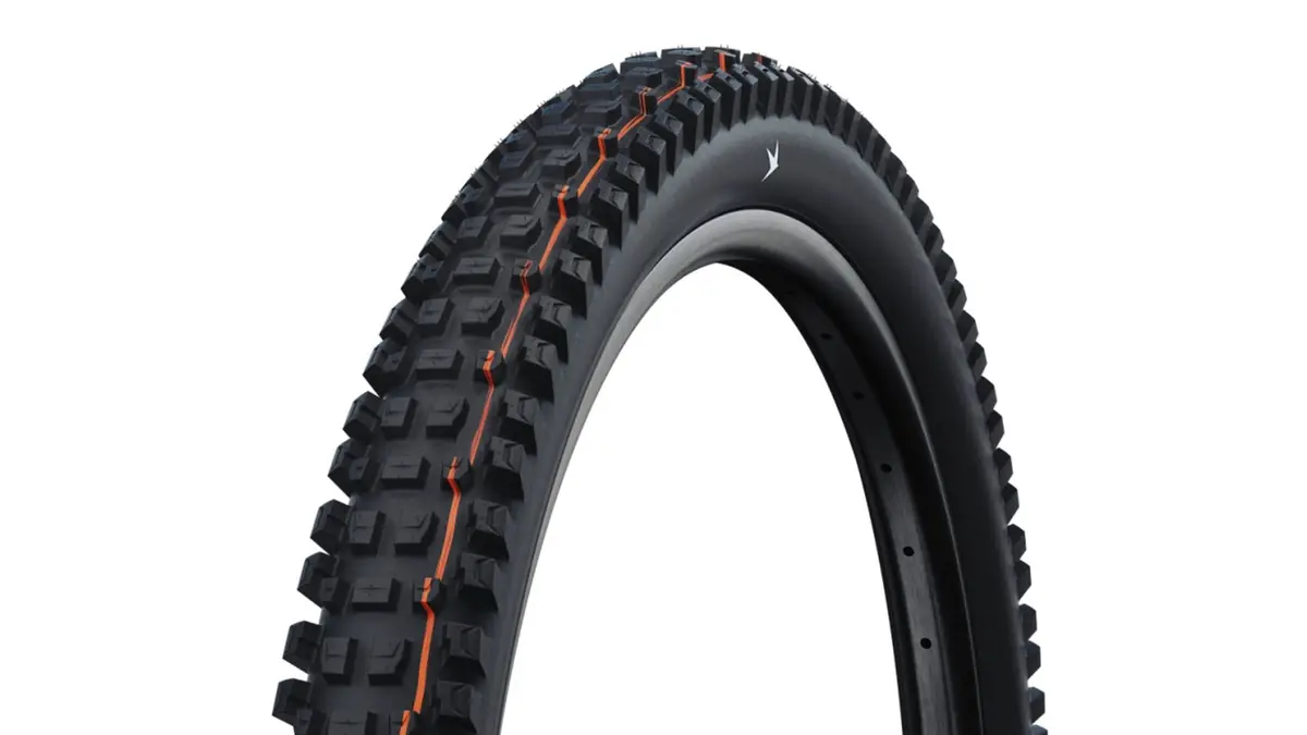 Schwalbe Albert Trail Pro Radial 1