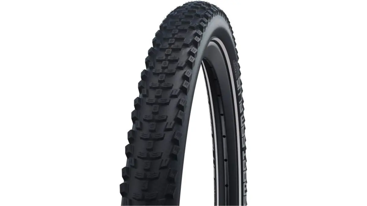 Schwalbe Smart Sam Plus 20" 1