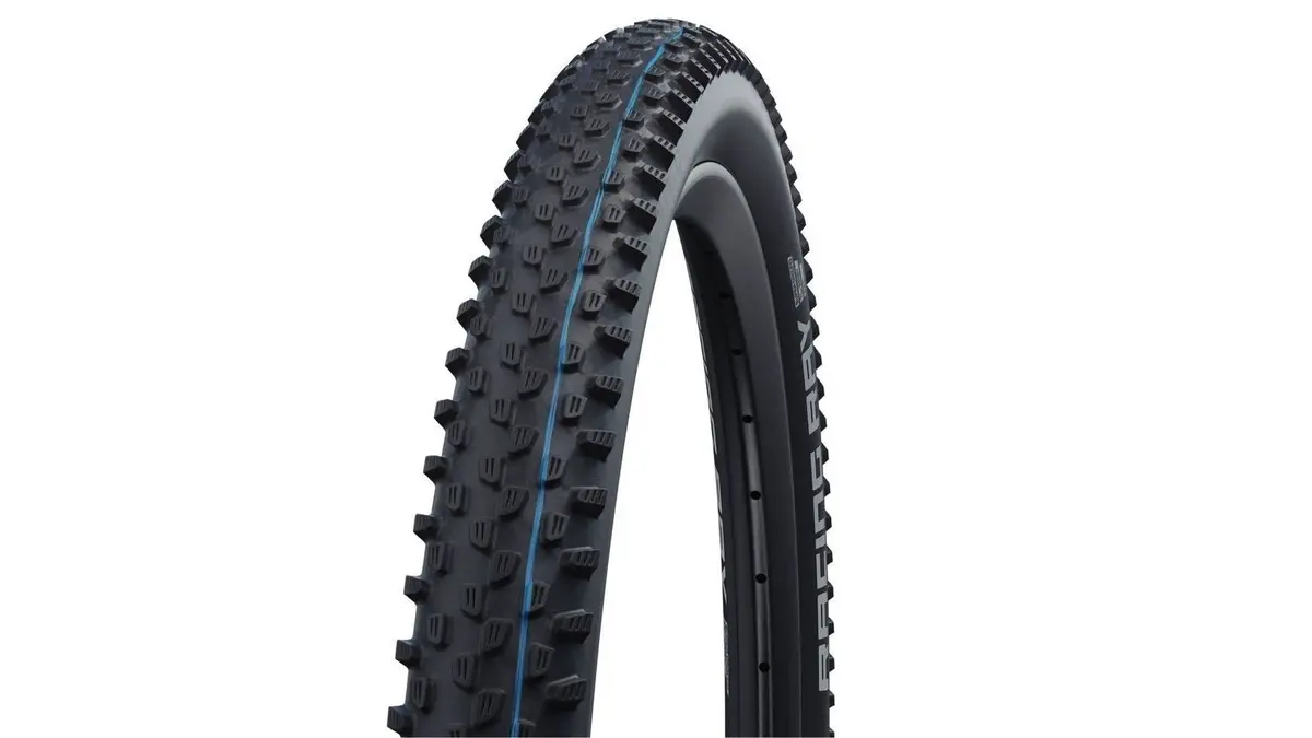 Schwalbe Racing Ray Evo Sgr 29 1