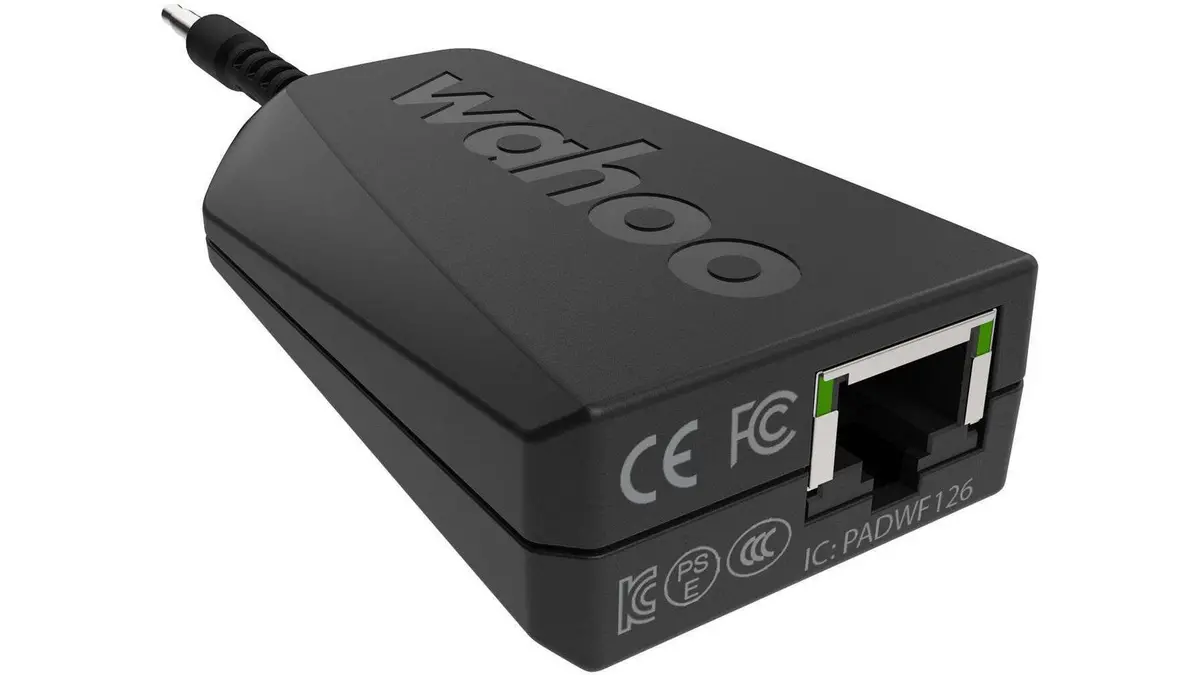 Wahoo Kickr Direct Connect Kabel 1