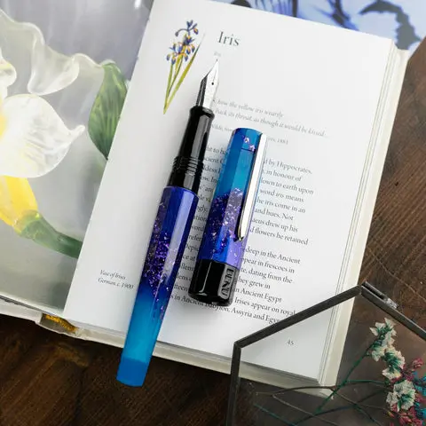 Benu Füller Euphoria Gunmetal, Scent Of Irises 1