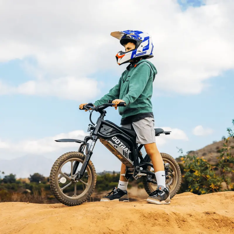 Gotrax Fitz16 E-Dirt Bike 350 W 36V 7.8 Ah Electric Dirt Bike For Kids 1