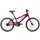 Evo Rock Ridge Kids Bike 20" Grape Popsicle 1