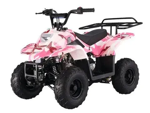 Gio Blazer 110B 110Cc Pink Leaf 1