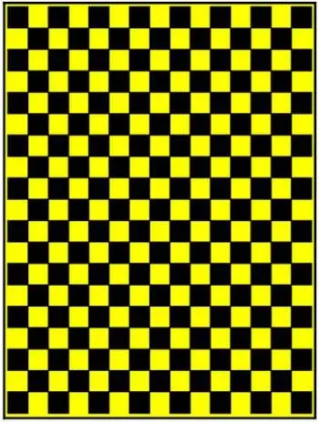 Xxxmain Paint Mask: Large Checkers 1