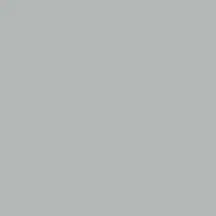 Mission Models Paint (Silver) 1
