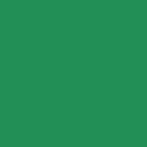 Mission Models Paint (Pearl Deep Green) 1Oz (30Ml) 1