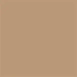 Mission Models Paint (Light Neutral Tan) 1Oz (30Ml) 1