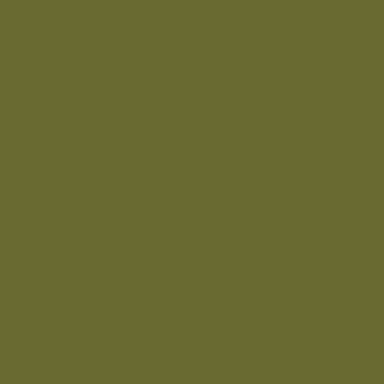 Mission Models Paint (Us Army Olive Drab) 1