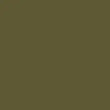 Mission Models Paint (Olive Drab 41 Usaaf) 1Oz (30Ml) 1