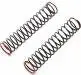 Axial Spring: 15X85mm (2.20Lbs/In Red) 1