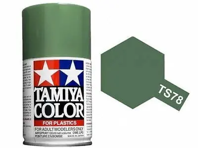 Tamiya Ts-78 (Field Grey) 1