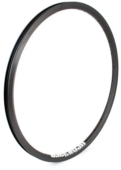Alienation “Ankle Biter” Rim 24” Black 1