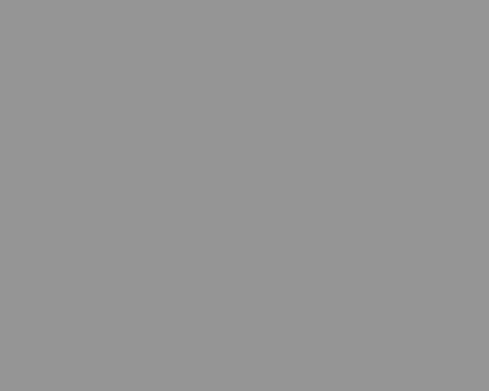 On-Point Polycarbonate Paint (Smoke) 150Ml 1