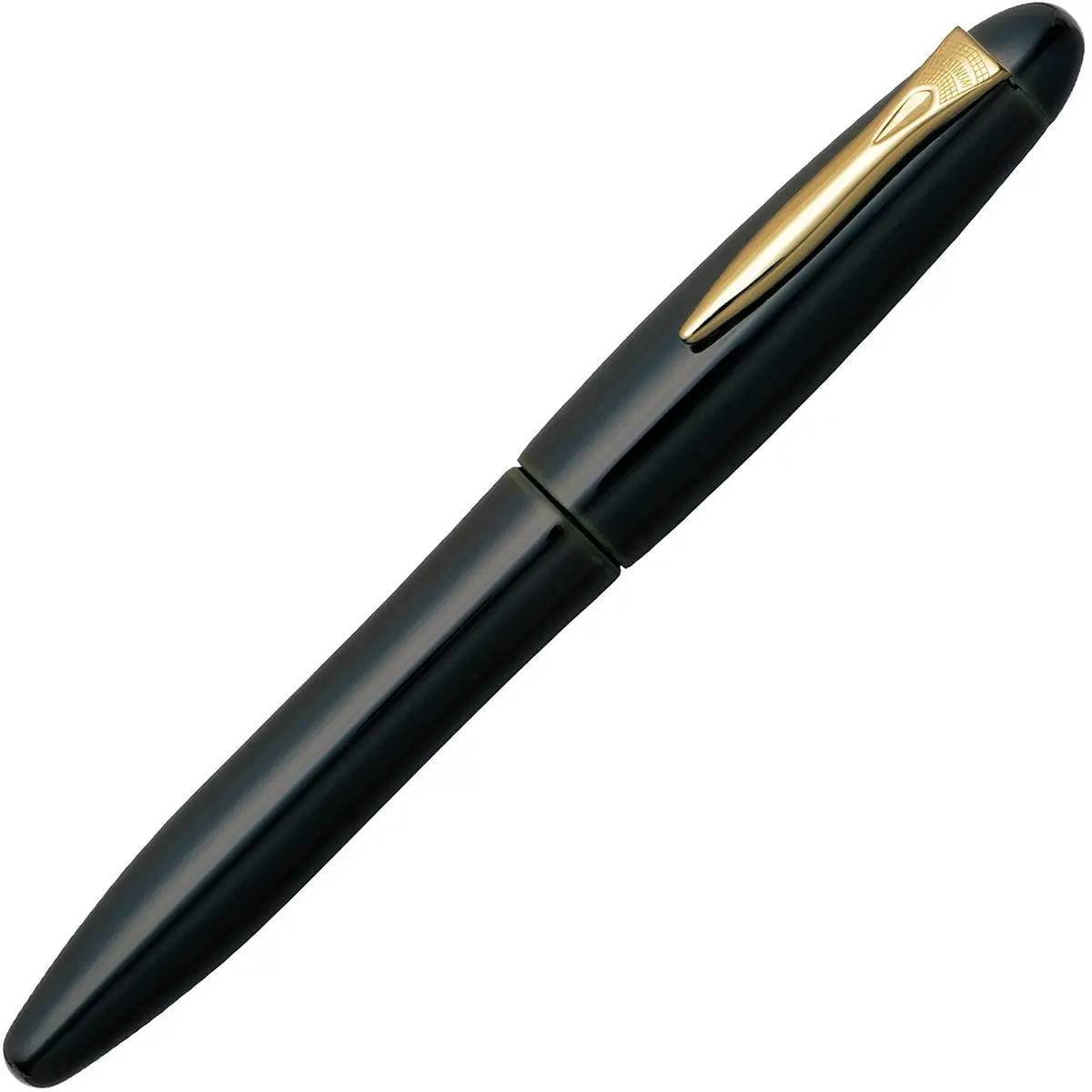 Platinum, Füller, Izumo Tame-Nuri, 18Kt, Sora-Tame 1