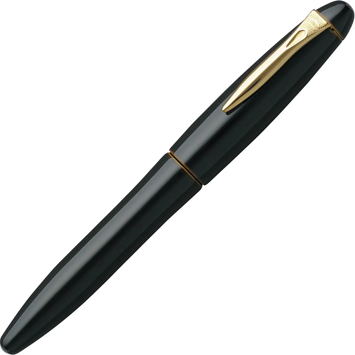 Platinum, Füller, Izumo Tame-Nuri, 18Kt, Biwa-Tame 1
